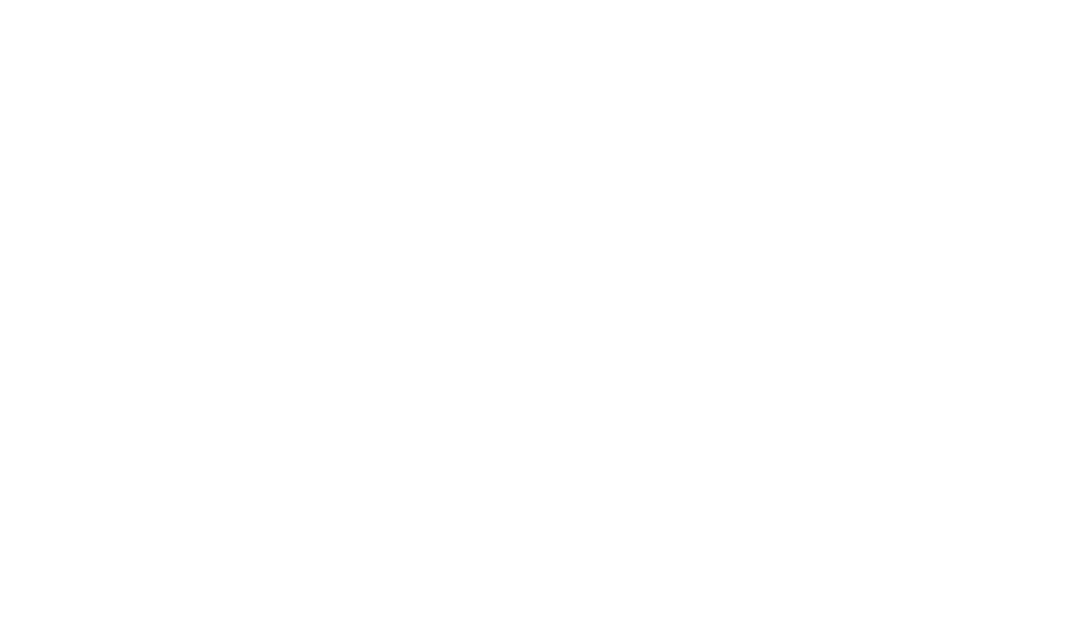 Sponsor